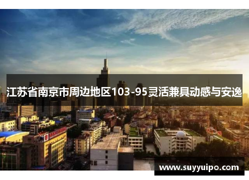 江苏省南京市周边地区103-95灵活兼具动感与安逸